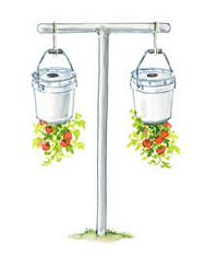 Mini Farm Homestead Upside-down Tomatoes